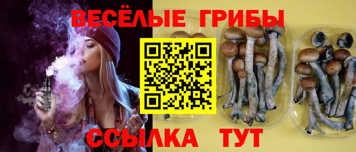 Псилоцибиновые грибы GOLDEN TEACHER  Вход с VPN  Дмитров 