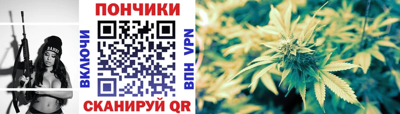 кракен   Дмитров  Шишки марихуана THC 21% 